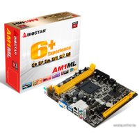 Материнская плата BIOSTAR AM1ML Ver. 7.x