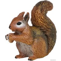 Фигурка Masai Mara Мир диких животных. Белка MM211-176
