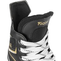 Коньки Ricos Eagle PW-206AJ (р.38, черный)