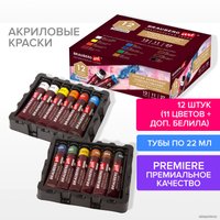 Акриловые краски BRAUBERG Art Premiere 191781 (12 шт)