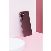 Телефон Samsung Galaxy S22 Ultra 5G SM-S908E/DS 12GB/256GB (бургунди) в Бресте