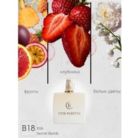 Туалетная вода ETIB Parfum аналоговый парфюм Etib Secret Bomb B18 EdP (50 мл)