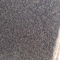 Шлифовальная втулка Belmash (Белмаш) 51 мм P180 SV026A