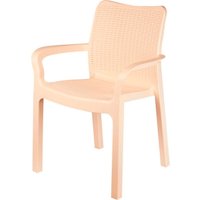 Стул Plast Team Rattan ING6182СЛВ