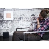 Беспроводной сабвуфер Bose Bass Module 500