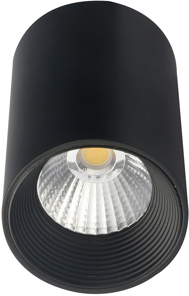 

Припотолочная люстра Escada 20003SMU/01LED SBK (черный матовый)