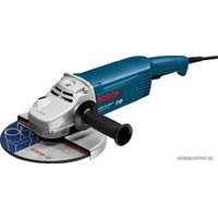 Угловая шлифмашина Bosch GWS 20-230 H Professional [0601850107]