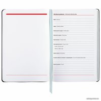 Ежедневник BRAUBERG недатированный Spirit 112117 (серый)