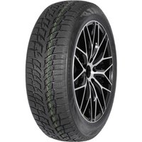 Зимние шины Autogreen Snow Chaser 2 AW08 235/35R19 91H