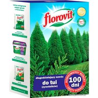 Удобрение Florovit Для туй 100 дней (1 кг, коробка)