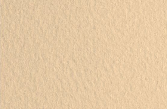 

Бумага для сухих техник Невская палитра Мастер-Класс А3 275452459 (20 л, банановый)