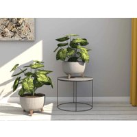 Вазон Lamela Misa Roma Eco Jumper LA962-27 (серый)