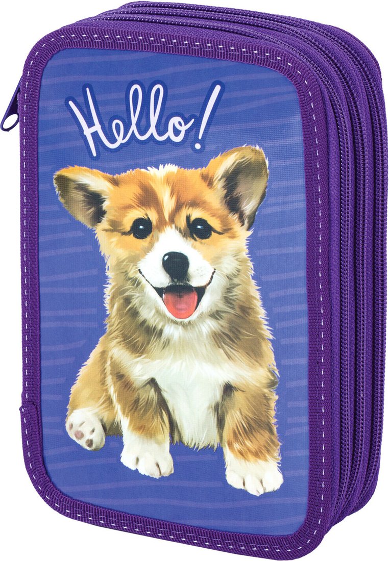 

Пенал BRAUBERG Little Dog 229214
