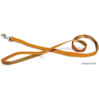 Ошейник с поводком Beeztees Маклезер 744734