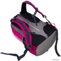 Школьный рюкзак Polar П220 (розовый)