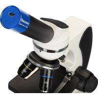 Микроскоп Levenhuk Discovery Pico Polar с книгой 77980