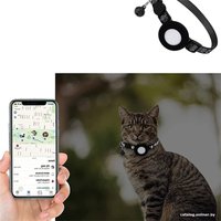 Ошейник Pet Paws с местом для трекера Apple AirTag 641000148H (черный)