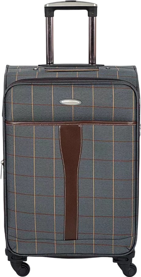 

Чемодан-спиннер Francesco Molinary 219-1094FM-5-23GRY (серый)