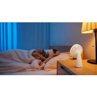 Вентилятор Xiaomi Mijia Desktop Mobile Fan ZMYDFS01DM (с переходником на евровилку)
