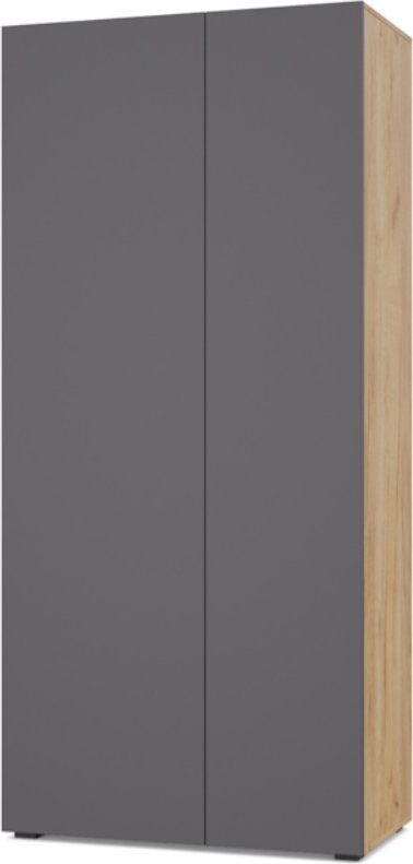 

Шкаф распашной Modern Челси Ч50 угловой (золотой дуб/графит)