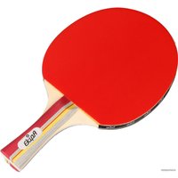 Ракетка для настольного тенниса Ekipa EK04