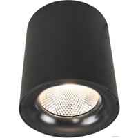 Точечный светильник Arte Lamp Facile A5118PL-1BK