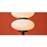 Торшер Freya Aqua FR5553FL-L20B