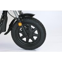 Электровелосипед Smart Balance Master Pro 50 Ah 2025 в Бресте