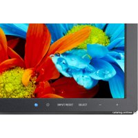 Монитор NEC MultiSync E224Wi Black/Black