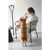 Интерьерное кресло Sheffilton SHT-AMS120 (светло-серый/антрацит)