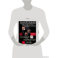 Книга издательства Эксмо. Анатомия и физиология. Большой популярный атлас (Билич Габриэль Лазаревич/Зигалова Елена Юрьевна)