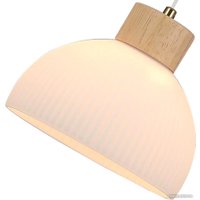 Подвесная люстра Arte Lamp Caprice A4184SP-1BR