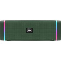 Беспроводная колонка Soundmax SM-PS5019B (зеленый)
