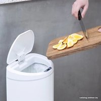 Мусорное ведро Ninestars Sensor Trash Can DZT-8-29S (белый)