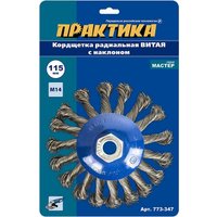 Щетка для электроинструмента Практика Мастер 773-347