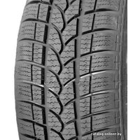 Зимние шины Tigar Winter 1 245/45R18 100V