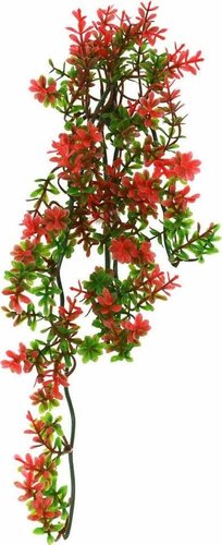 Искусственное растение Lucky Reptile Turtle Plant Ludwigia TP-40