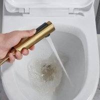 Гигиенический душ Shevanik S4005G-1