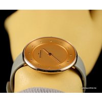 Наручные часы Skagen SKW2139