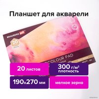 Планшет для акварели BRAUBERG Art Premiere 113246 (20 л)