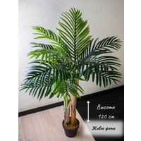 Искусственное растение Merry Bear Home Decor Пальма Ропалостилис Элит A153120 (120см)