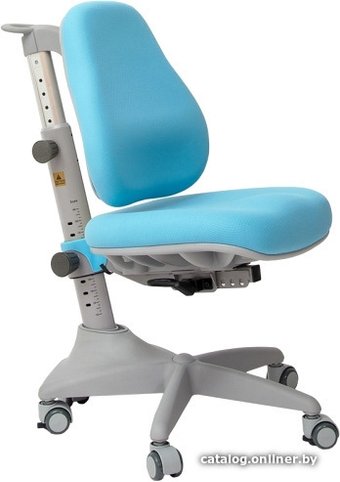 Детское ортопедическое кресло Rifforma Comfort-23 (голубой)