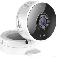 IP-камера D-Link DCS-8100LH/A1A