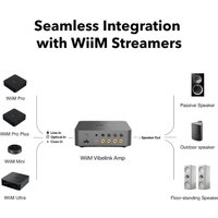Усилитель мощности WiiM Vibelink Amp (серый)