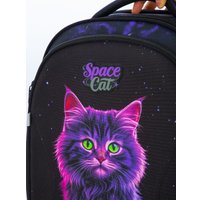 Школьный рюкзак Steiner SK3-4