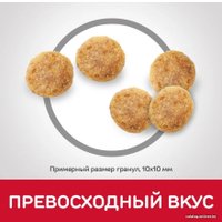 Сухой корм для кошек Hill's Science Plan Adult 1-6 Chicken для взрослых кошек для поддержания жизненной энергии и иммунитета, с курицей 10 кг в Борисове