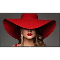 Информационная панель Philips 43BDL4650D/00