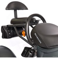 Электроскутер SkyBoard Trike Chopper-2000