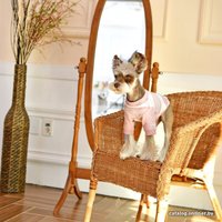 Футболка Pinkaholic Caspian NATA-TS7560-IP-M (розовый)