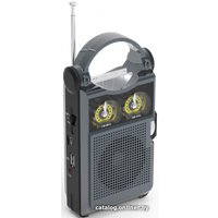 Радиоприемник Ritmix RPR-333 (черный)
